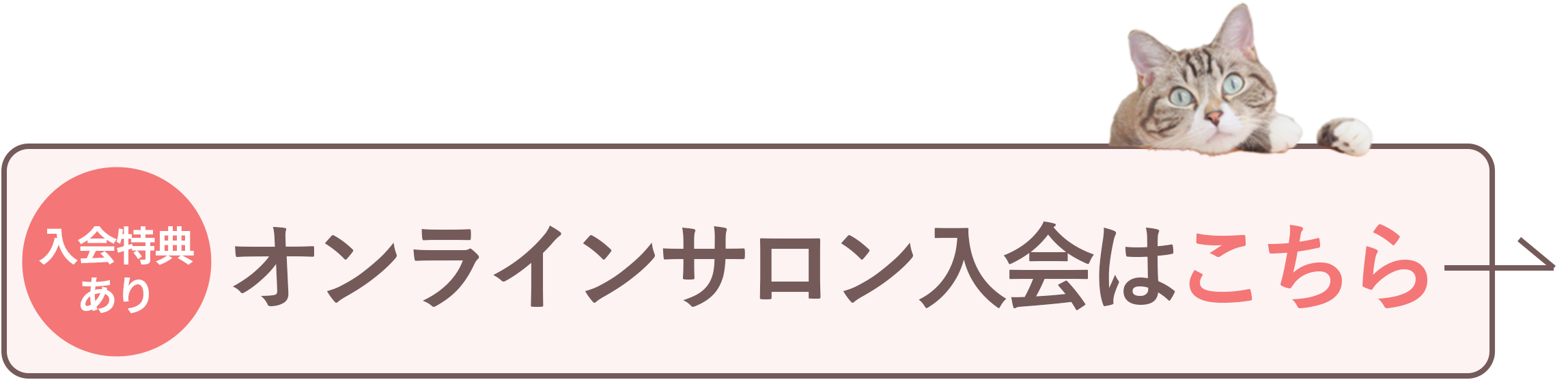 入会特典ありオンラインサロン入会はこちら